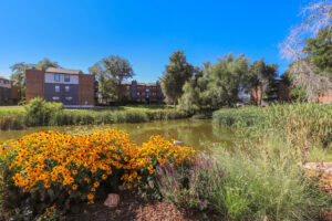 a pond with flowers and trees in the background