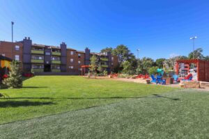 a playground in a park