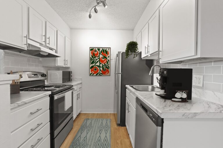 Gallery Detail: Amenities Pet Friendly Apartments Denver Co