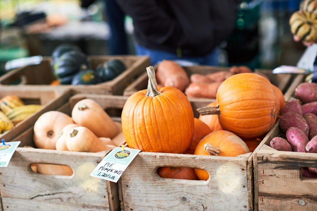 organic pie pumpkins market display
