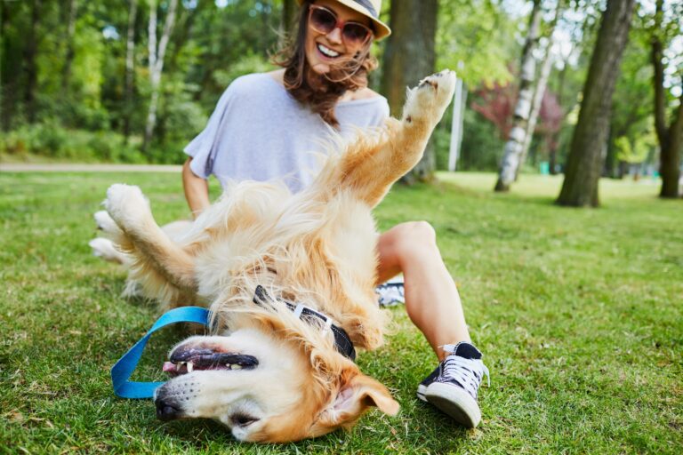 pet friendly activities denver