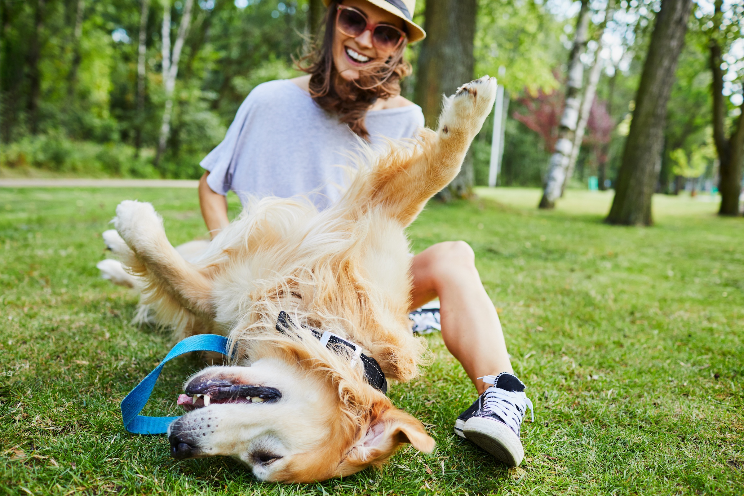 pet friendly activities denver